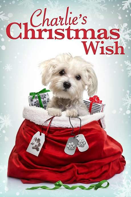 Charlie’s Christmas Wish